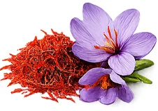 केसर (Crocus sativus)