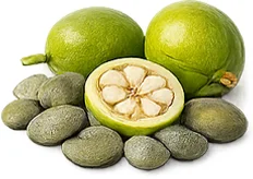 शुद्ध कुचला (Strychnos nux-vomica)